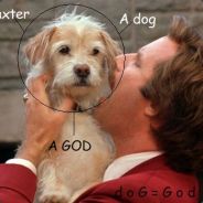BAXTER {MGMT} - steam id 76561197971027477
