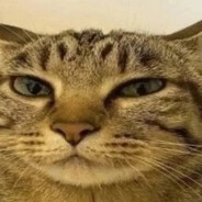 подозрителный MR PE