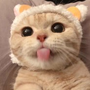 小朋友不可以装杯杯哦