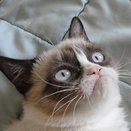 ORHAN BENCEGAY REMASTERED 2020