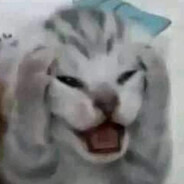 ✵𝑆𝑎𝑛𝑐ℎ𝑜✵