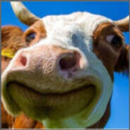 Ate 5 Big mac for supper