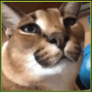BigFloppa avatar
