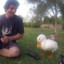 The Duck Tamer