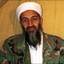 Osama bin laden