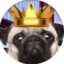 pug