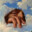 TheDookieWookie avatar