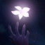 Nexdra