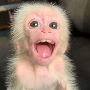 Monke Puqi - steam id 76561199141559018