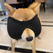 半夜起来嚼槟榔，睁眼一看是蟑螂