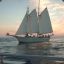 sailboat517