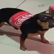 母亲的情人's avatar