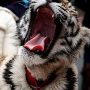 落地重伤倒地，激发队友潜力