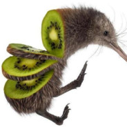 KiwiNumberOne
