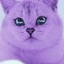 Terqsqeqsa