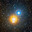 WinterAlbireo