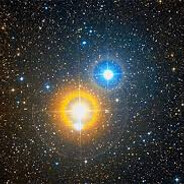 WinterAlbireo