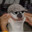 -Potato_Doggy-