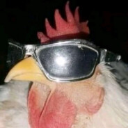 我是打派的萌新，你可以叫我派蒙