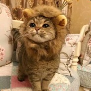 重伤倒地的请举起你的36D蜜桃翘臀举盾好吗