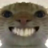 借用你的角磨机