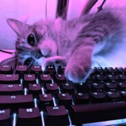 Dort - steam id 76561199480029456