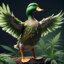 THCxDucky TTV ™