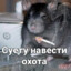 СУЕТОЛОГ