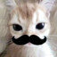 ♱ lickweed!