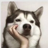 骑着王子的白马