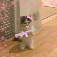 Mode_Mother666 - steam id 76561199618356553