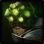 Master Yi5