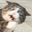 猛击你的高玩