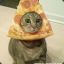 Pizza Cat