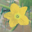 Mutsumi
