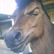 🐴Pan koniuszy🚬