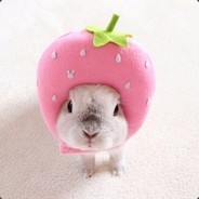 草莓味的小兔叽°