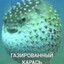 Карась