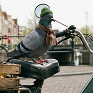 DuifOpEenBrommer