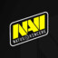 NatusVincere