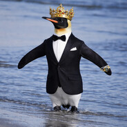 poopypenguin02