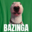 bazinga dog