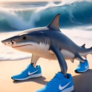 蒙古坠机王林虎三