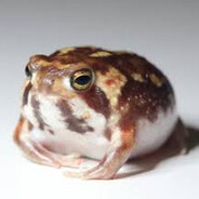 Lil'frogg