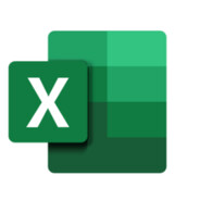 ⊞ Microsoft Excel ⊞ skins