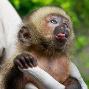 comi a mae de quem ta lendo