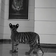 aGoN - steam id 76561199640586527