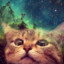 kampftweety_107