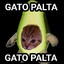 GATO PALTA