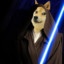 Jedi Doge